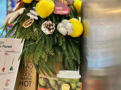 -introlemons(西单更新场·北京首店)