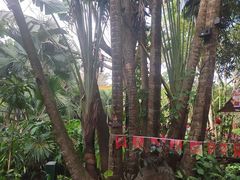 -海南热带野生动植物园
