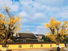 -上海东林寺(金山区)