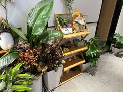 -大鱼·养生·禅洗头疗·按摩SPA