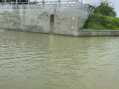 -长兴太湖图影湿地文化园