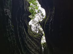 -梭布垭石林景区