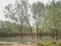-西安浐灞国家湿地公园