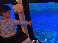 -成都浩海立方海洋公园