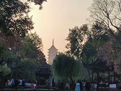 -西园戒幢律寺