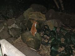 -晓港公园