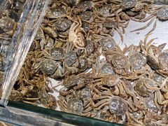 -欢乐牧场海鲜烤肉自助(牡丹园店)