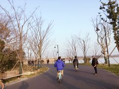 景点-东湖落雁景区