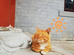 -西安大兴善寺