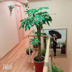 -阅年轻·AI家庭健康体质调理