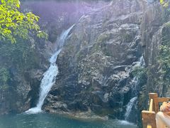 -海南霸王岭国家森林公园