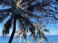 -三亚南山文化旅游区