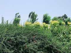 -东疆建设开发纪念公园