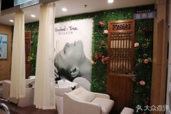 -菩叶头皮抗衰养发护发