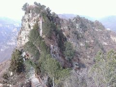 android_upload_pic-神农山景区
