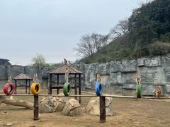 -杭州野生动物世界