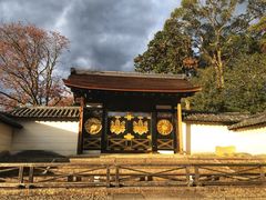 -醍醐寺