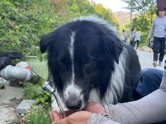 -终南山国家森林公园