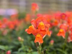 -二沙岛艺术公园