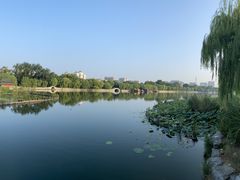 -济南大明湖景区