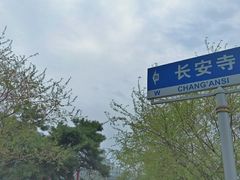 -长安寺