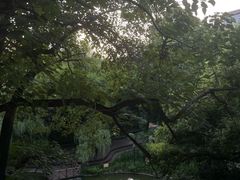 -湖北美术学院(昙华林校区)