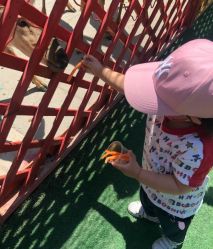 -萌宠亲子动物乐园(槐房万达店)