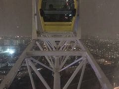 -锦江乐园舞狸花花游园会(夜场专享)