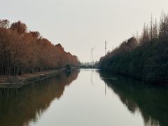 -上海海湾国家森林公园