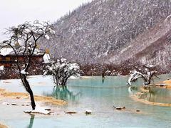 -黄龙山原始森林景区