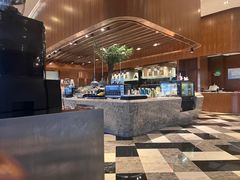 -南京禄口机场雅高铂尔曼大酒店