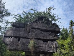 -梭布垭石林景区
