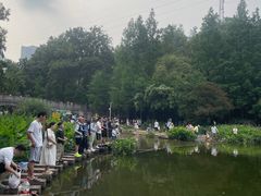 -重庆彩云湖湿地公园
