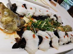 特色蒸桂花鱼-广州酒家(文昌总店)