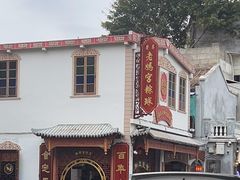 -老妈宫粽球