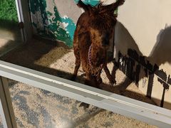 -常州海昌海洋探索馆