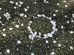 -名古屋城