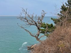 -在海一方公园