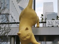 -深圳湾万象城(南山店)