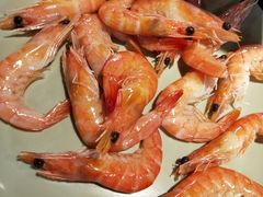 虾-壹炉自助烤肉烧烤店(港悦广场店)