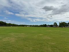 -春花秋色城市公园