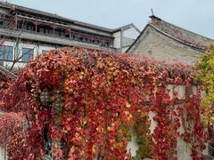 -蜻蜓逐宴全日制西餐厅I古北水镇大酒店