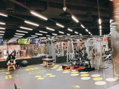 -威尔仕健身(金茂店)
