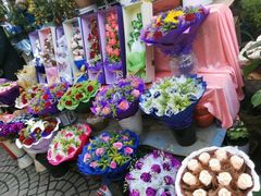 -曲阳花鸟市场(曲阳路店)