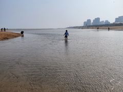 -青岛金沙滩