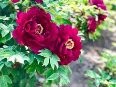 -江南大学-第一食堂(江南苑)