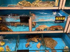 -鲜炉季港式打边炉(尚海湾店)