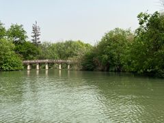 -西溪国家湿地公园