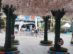 -海合安成都极地海洋公园
