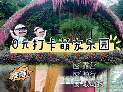 -王借岗森林公园